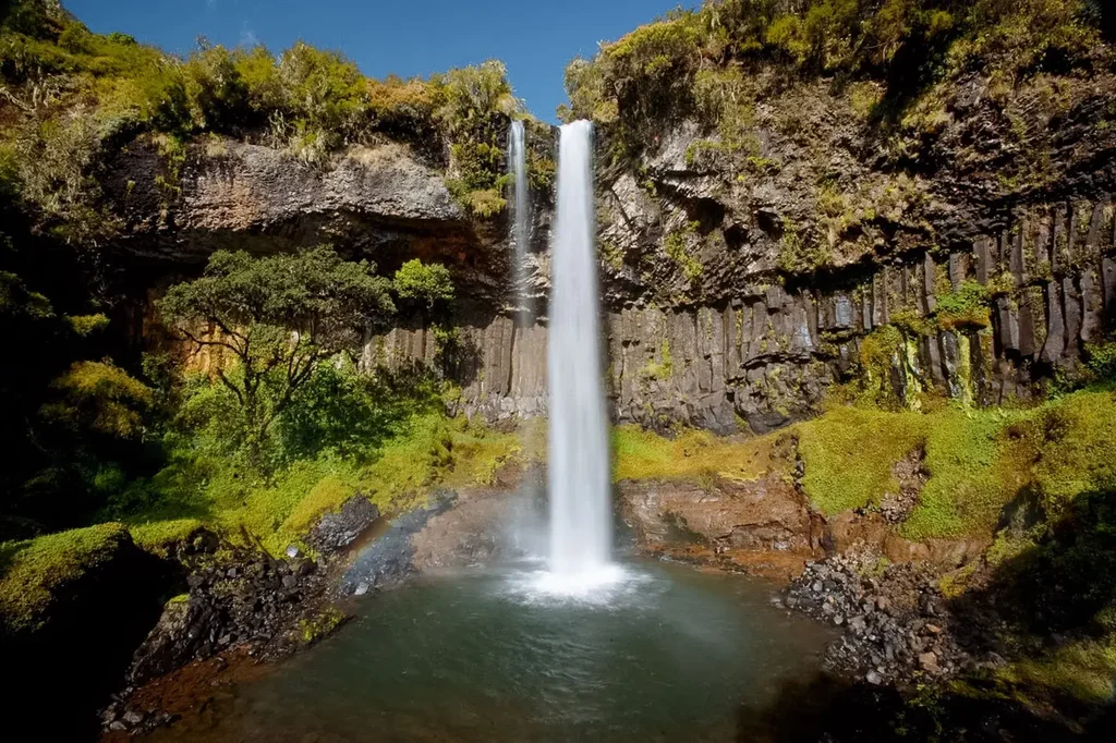 Aberdare National Park Image