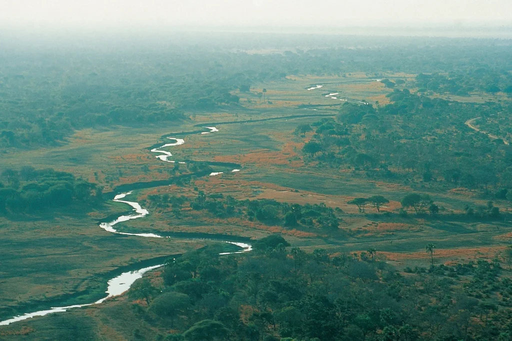 Katavi National Park Image