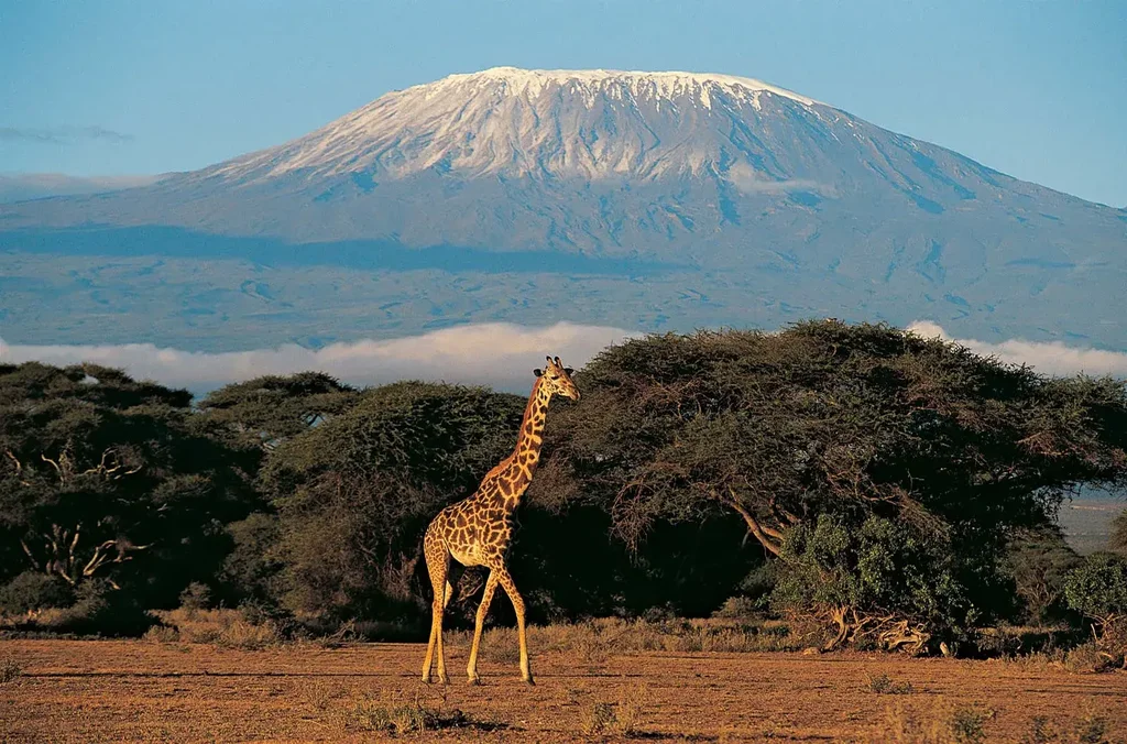 Kilimanjaro National Park Image