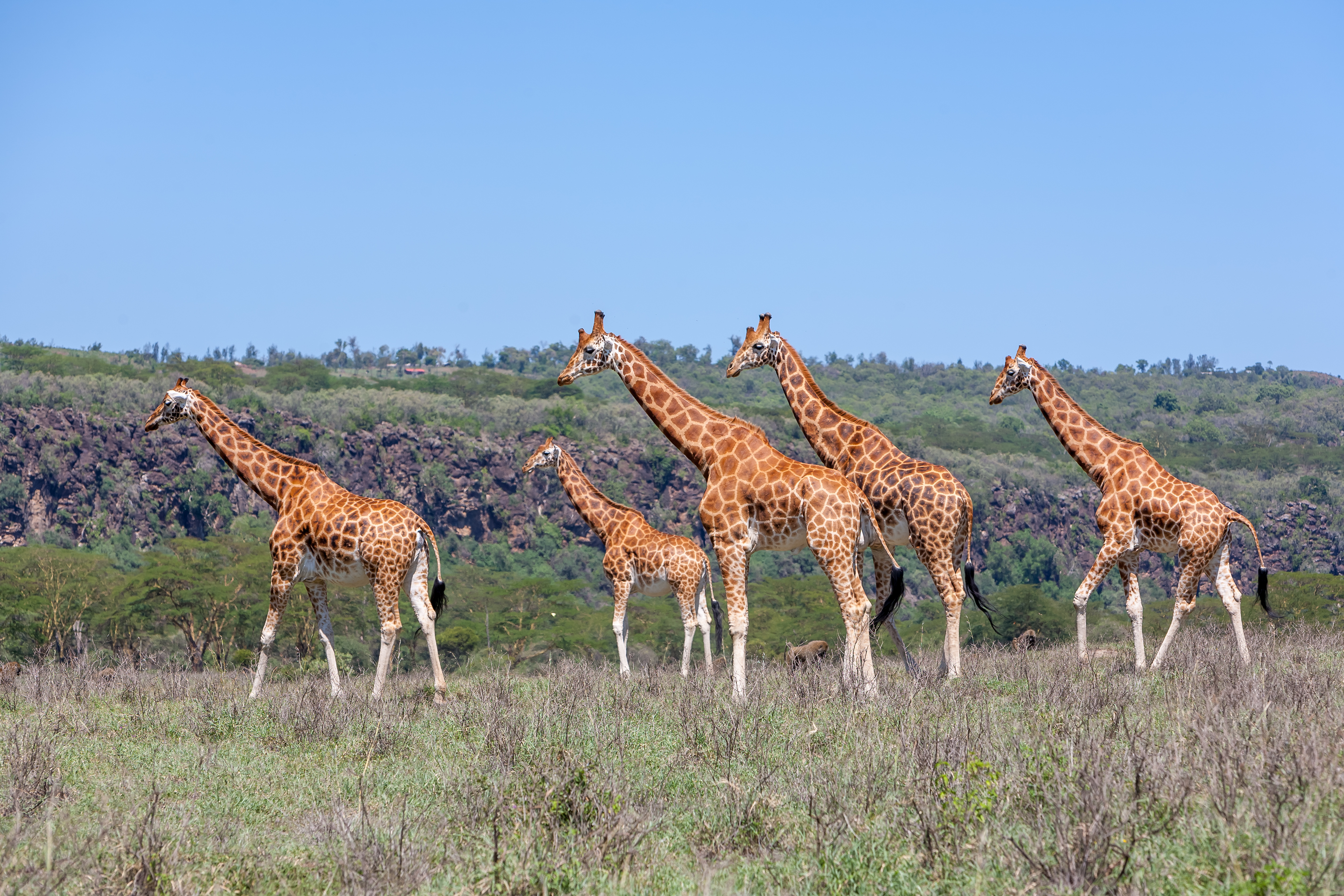 Masai Mara Reserve