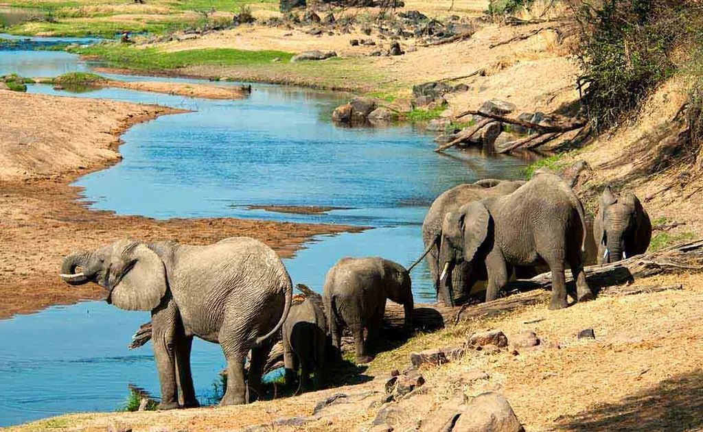 Mikumi National Park Image