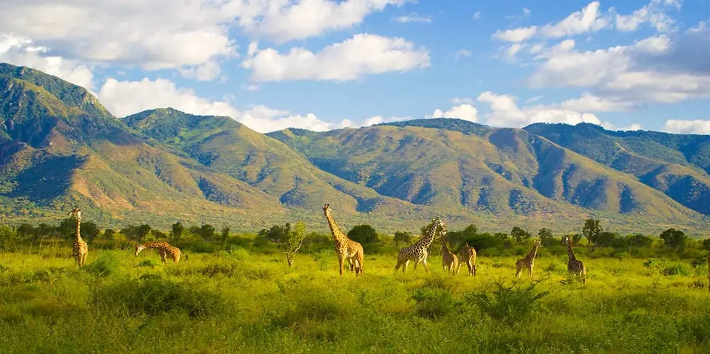 Mkomazi National Park Image