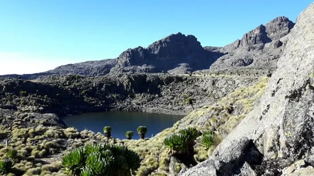 Mount Kenya National Park Image