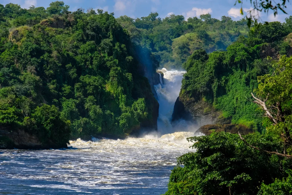 Murchison Falls National Park Image