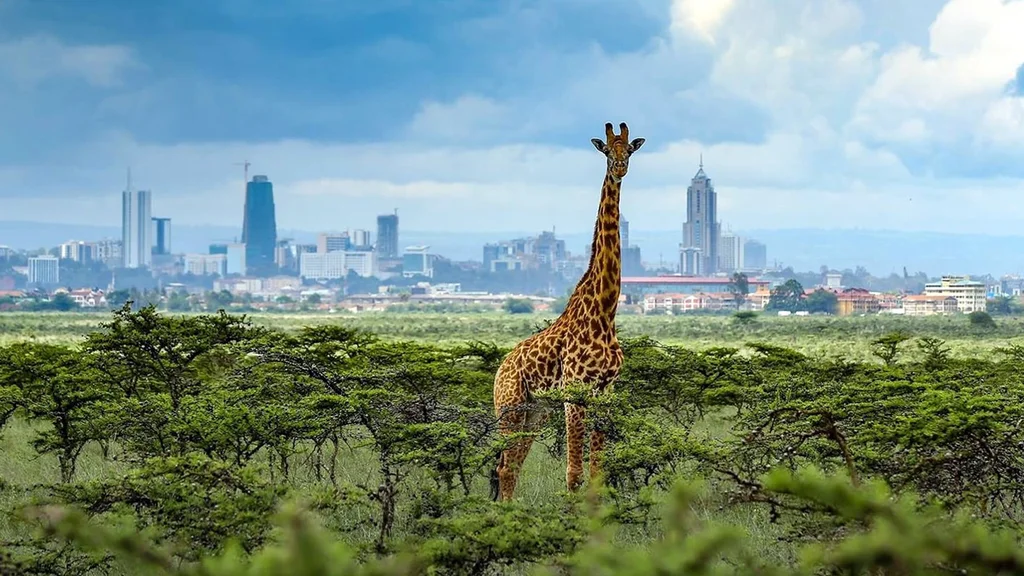 Nairobi National Park Image